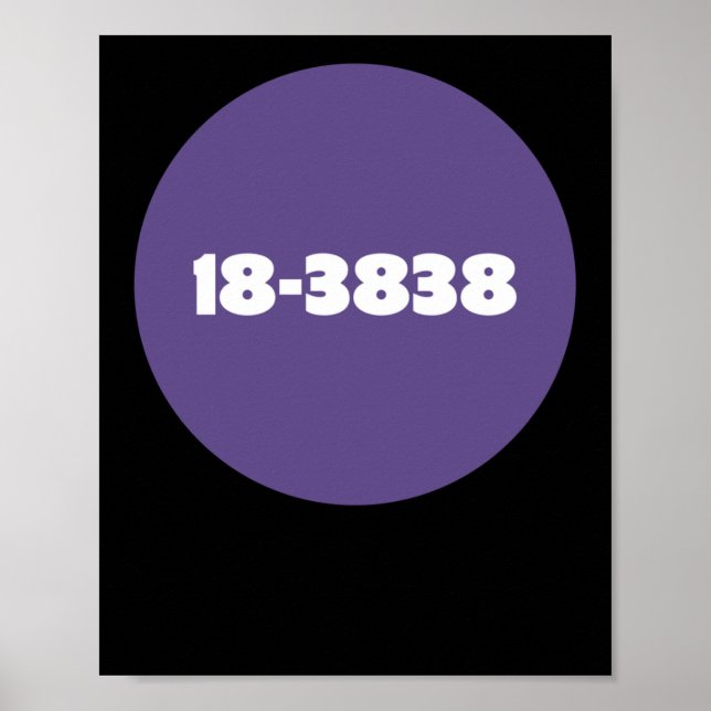 18-3838 POSTER (Framsidan)
