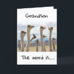 **18** DU ÄR NU EN TEENAGER **GRANDSON** KORT<br><div class="desc">GRATTIS PÅ FÖDELSEDAGEN ***GRANDSON*** TACK FÖR ATT JAG STOPPAT ETT AV MINA ÅTTA LAGER!</div>