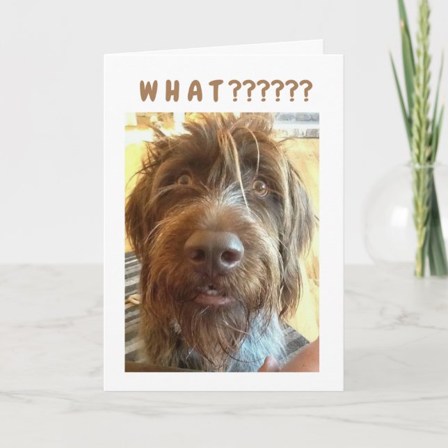 *18:e BIRTHDAY* FRÅN GRIFFON Card Kort (Framsida)