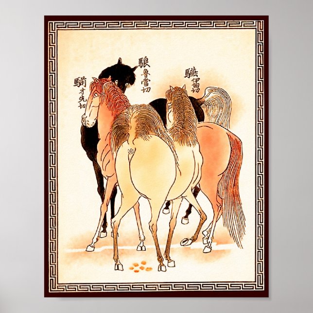 18 Hästar: Naturupprop Poster (Framsidan)