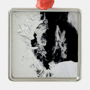 18 januari 2010 - Ross Sea, Antarctica Julgransprydnad Metall