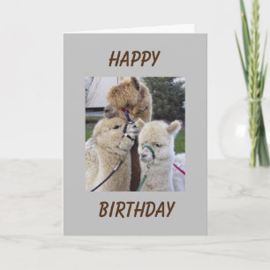 **18th** BIRTHDAY ÖNSKEMÅL - SPECIELLT FÖR "DU"-ko Kort