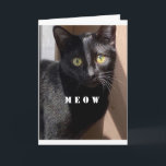 *18th* BIRTHDAY’ WISH OF COOLA CAT CARD Kort<br><div class="desc">TACK FÖR ATT STOPPA MED 1 AV MINA 8 LAGER!</div>