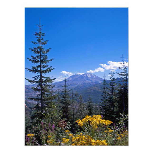 18X24 Mount St Helens Fototryck (Framsidan)