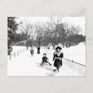 1900-centralparkens NYC-vykort Vykort