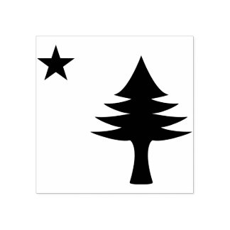 1901 Maine Flagga Stämpel