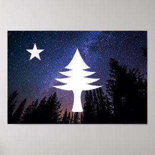 1901 Maine Flagga - Starry Natt Edition Poster