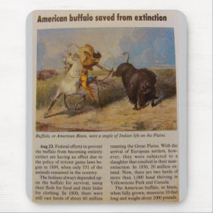1902 Amerikansk bison räddad från utrotning Musmatta