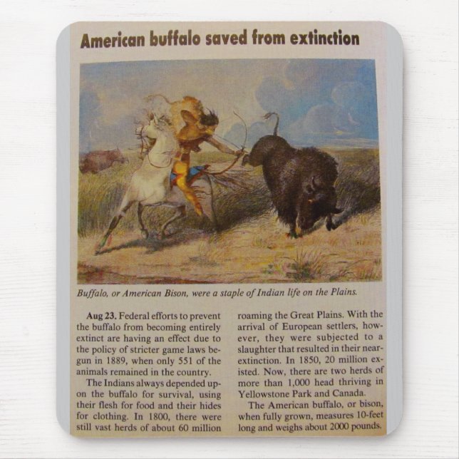 1902 Amerikansk bison räddad från utrotning Musmatta (Framsidan)