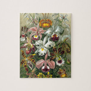 1904 Orchidskonstformer av naturtryck Pussel