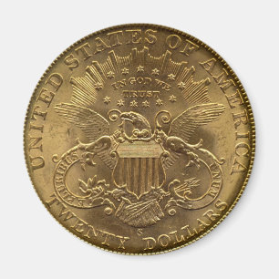 1904 tjugo dollar myntar, tillbaka (svanar) eller magnet