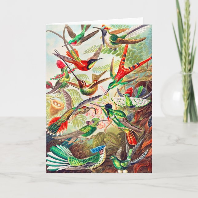 1904 Tryckning på matfåglar Kort (Framsida)