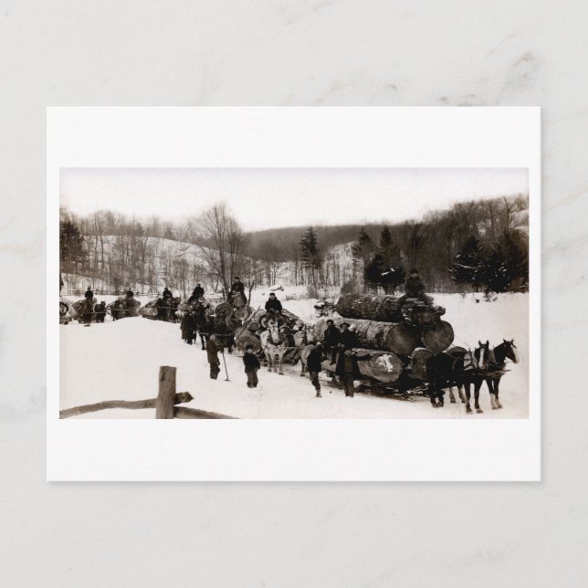 1905 Lumberjacks i arbete Vykort (Framsida)