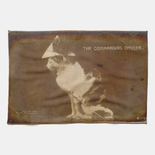1906 Befälhavare på katt RPPC Kökshandduk