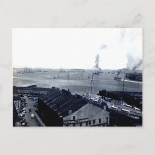 1906 Boston Harbour-vykort Vykort