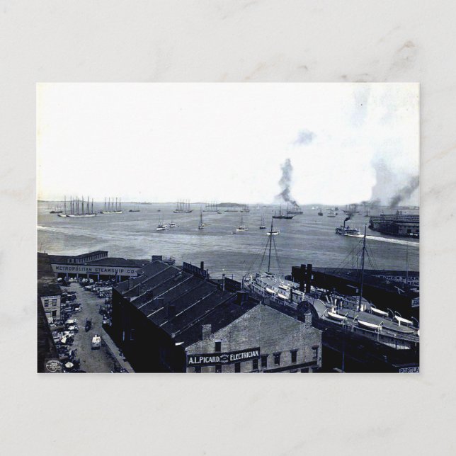 1906 Boston Harbour-vykort Vykort (Framsida)