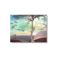 1907 års Solitariska ceder