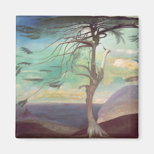 1907 års Solitariska ceder Magnet (Framsidan)