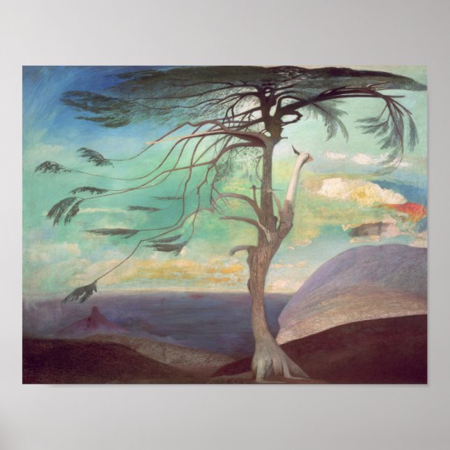 1907 års Solitariska ceder Poster (Framsidan)