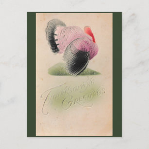 1907 Vintage Thanksgiving Rosa och Grått Turkiet Vykort