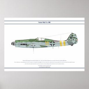 190 D-9 JG2 1 POSTER