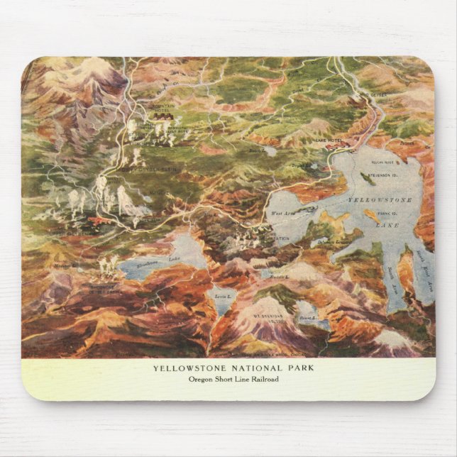 1910 Aerial View Karta - Yellowstone National Park Musmatta (Framsidan)