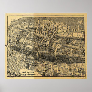 1910 maplewooden, NJ-fågelöga beskådar den Poster