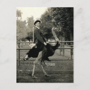 1910 Ostrich Riding Vykort