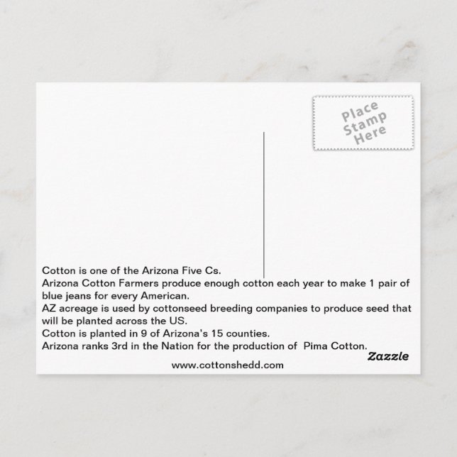 1912 Arizona vykort för bomullsfakturor (Baksida)