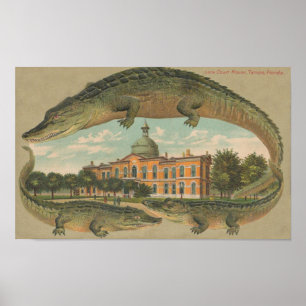 1912 Domstol Tampa, Florida Poster