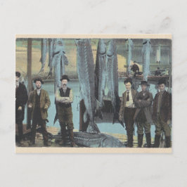 1914 Stör Postkort - Stör Fångst Vykort
