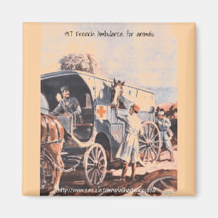 "1917 on hjul Fransk Animal Hospital" Magnet