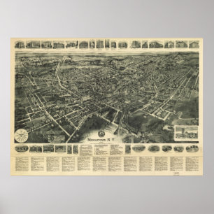 1922 Middletown, NY-fågelöga beskådar den Poster