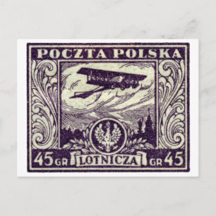 1925 45gr Polskt flygpost Frimärke Vykort