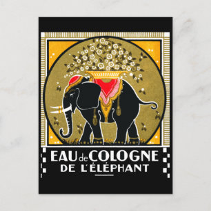 1925 Köln De L'Elephant Vykort