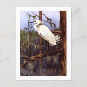 1926-Vintagens TODHUNTER FÅGLAR - "SNOWY EGRET" -  Vykort