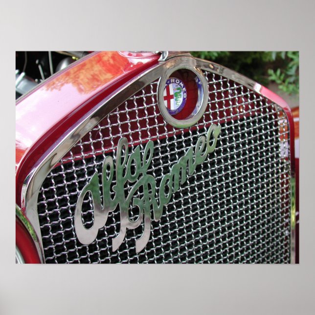 1929 Alfa Romeo 1750 Roadster Poster (Framsidan)