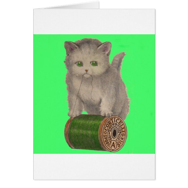 1930 Korticelli, vit kattunge Hälsningskort (Framsidan)