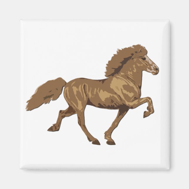 1930:s Vintage isländska Magnet (Framsidan)