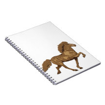 1930-talet isländska