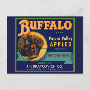 1930-talets Buffalo Brand Apples lådaetikett Vykort