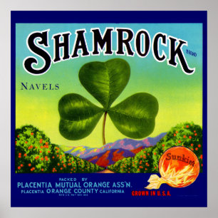 1930-talets frukt-låda-etikett Shamrock Navel-Oran Poster