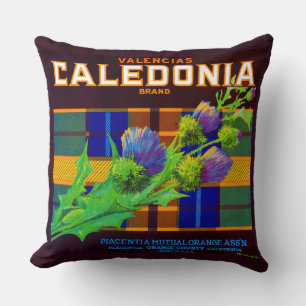1930-talets kaledoniska orange låda-märke kudde