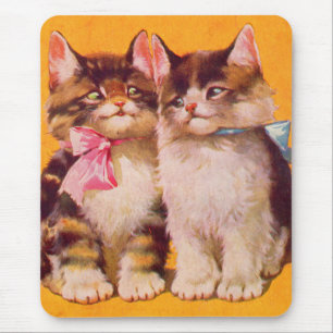 1930-talets vackra floofyllkattungar musmatta