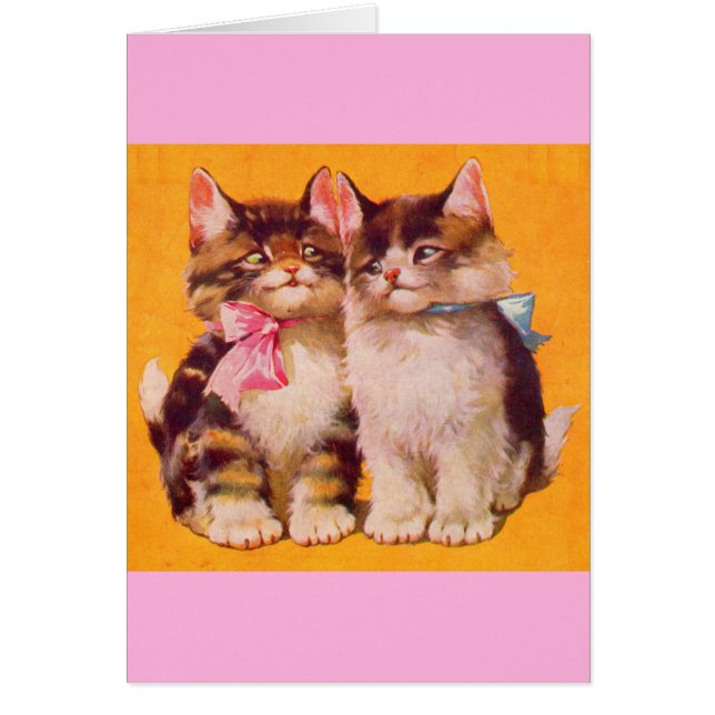 1930-talets vackra floofyllkattungar OBS kort (Framsidan)