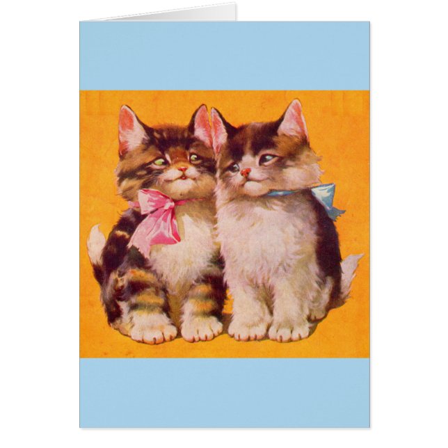 1930-talets vackra floofyllkattungar OBS kort (Framsidan)