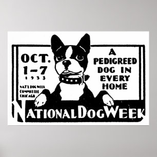 1933 Nationell Hund Poster