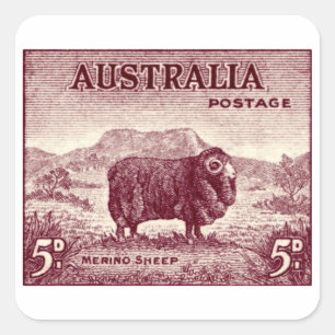 1934 Australian Merino Sheep Fyrkantigt Klistermärke