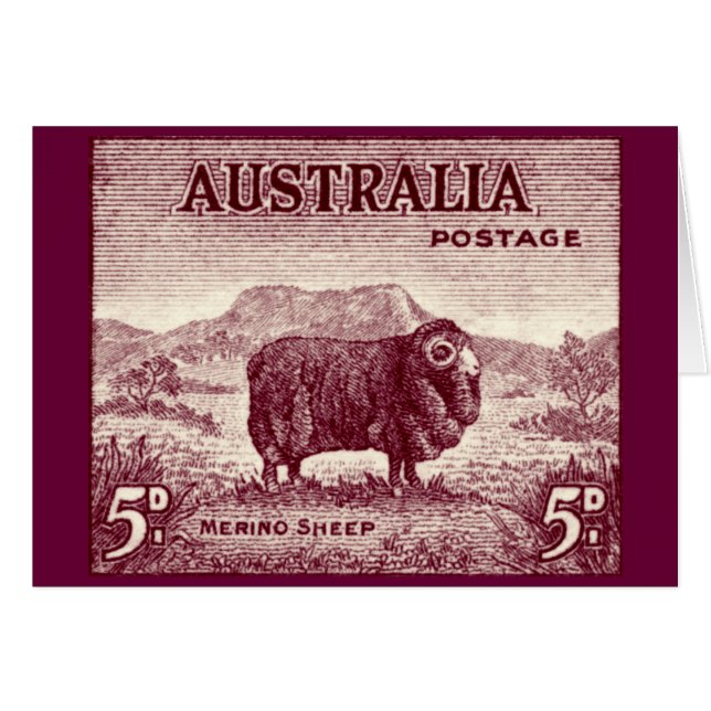 1934 Australian Merino Sheep Hälsningskort (Framsidan Horizontal)