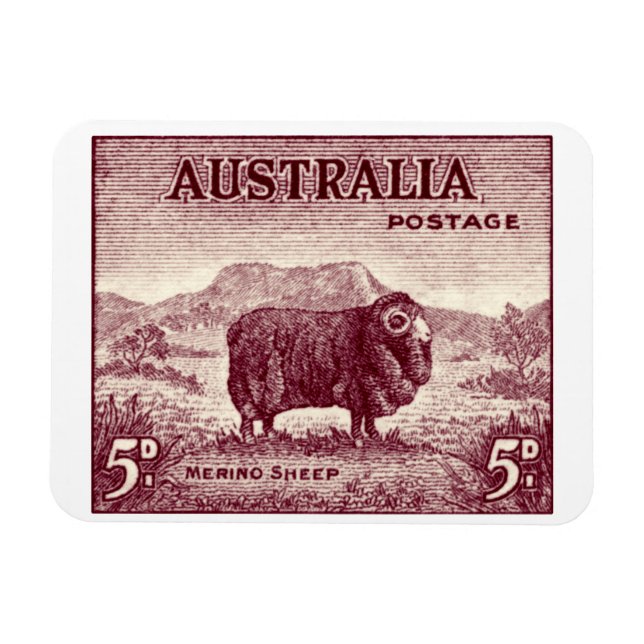 1934 Australian Merino Sheep Magnet (Horisontell)